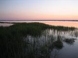 IMG_4333