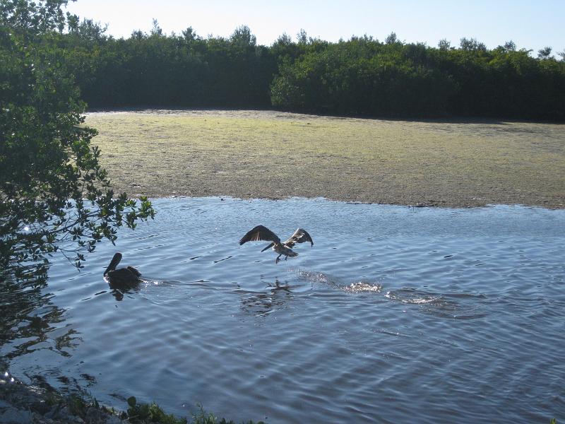 IMG_3911