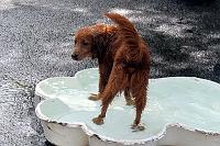  I know jumping into a pool is a lot of fun :)