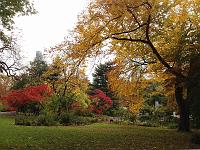  Foliages viewed from Strawberry Field.  10/31/2015