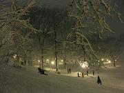  A perfect slope for sledding.