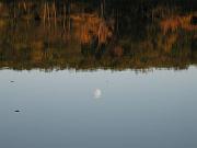  Moon in the lake