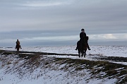  People enjoy horse back riding
