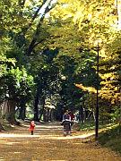 DSCF0156