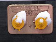  Fried eggs