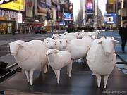  Counting Sheep (2011) by Kyu Seok Oh, a Brooklyn artist 
(a flock of sheep handmade from heavy paper) 