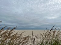  Cape May
Monday, September 30, 2024 at 15:38
