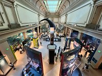  Smithsonian Museum: Museum of Natural History
