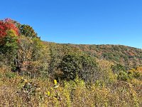  Monongahela National Forrest