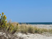  Avalon, NJ